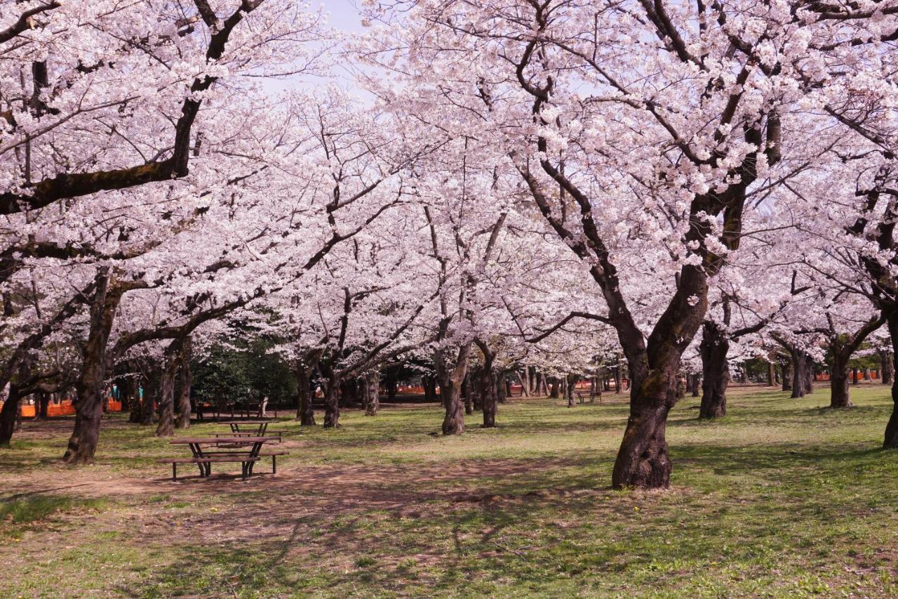 渋谷 広め50M2 2Ldk 代々木公園駅徒歩5分 家族におすすめ Leilighet Tokyo Eksteriør bilde